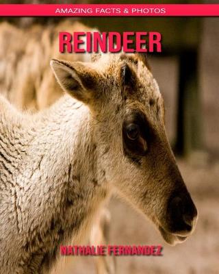 Book cover for Reindeer