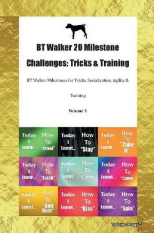 Cover of BT Walker 20 Milestone Challenges