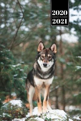 Book cover for Wolf Wolves Week Planner Weekly Organizer Calendar 2020 / 2021 - Winter Time