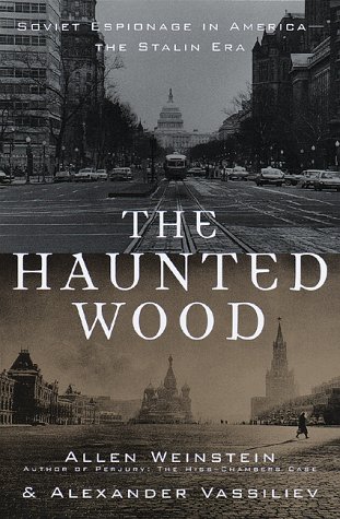 Book cover for The Haunted Wood