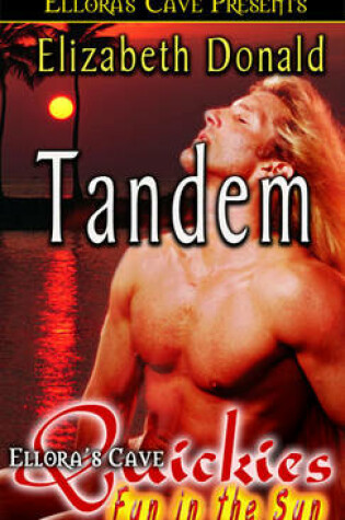 Cover of Tandem