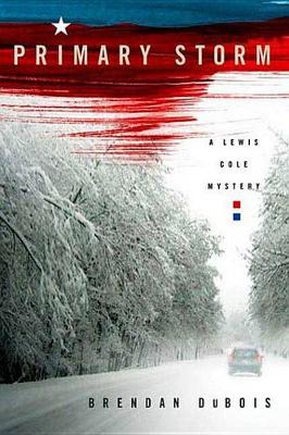 Cover of Primary Storm