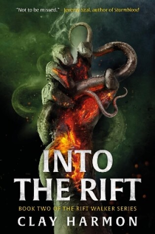 Cover of Into The Rift