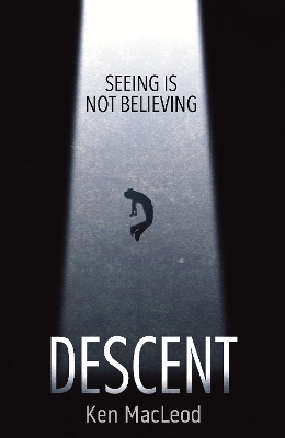 Book cover for Descent