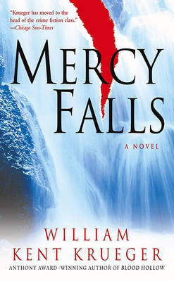 Book cover for Mercy Falls