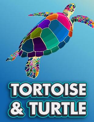 Book cover for Tortoise & Turtle