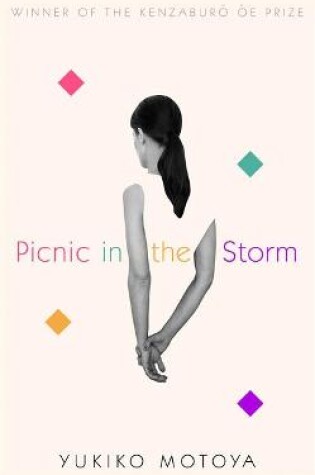 Cover of Picnic in the Storm