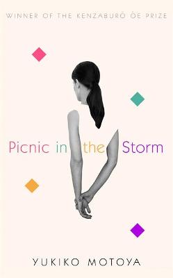 Book cover for Picnic in the Storm