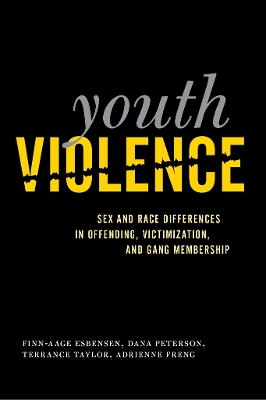Book cover for Youth Violence