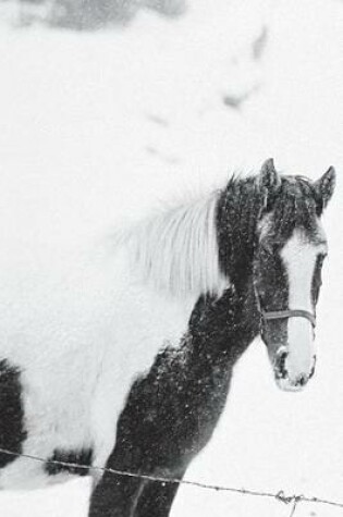 Cover of Journal Horse Snowstorm