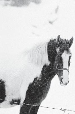Cover of Journal Horse Snowstorm