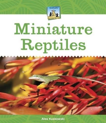 Book cover for Miniature Reptiles