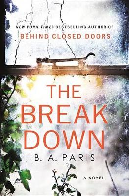 Book cover for The Breakdown