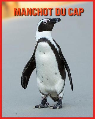 Book cover for Manchot du Cap