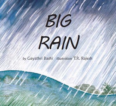 Book cover for BIG RAIN