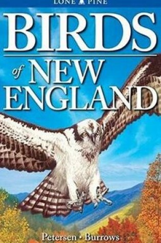 Cover of Birds of New England