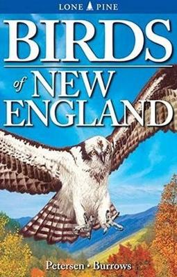 Book cover for Birds of New England