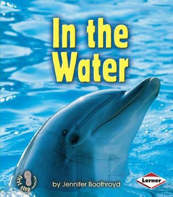 Book cover for In the Water