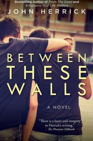 Cover of Between These Walls