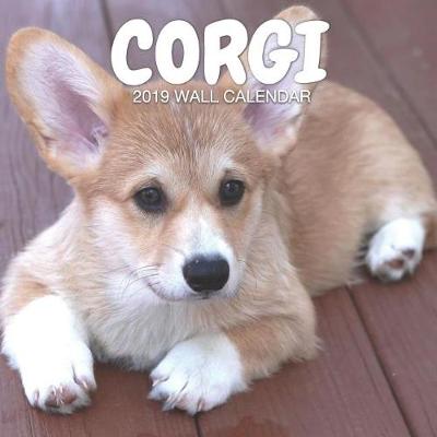 Book cover for Corgi 2019 Wall Calendar