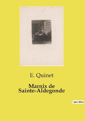 Book cover for Marnix de Sainte-Aldegonde