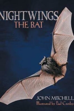 Cover of Nightwings the Bat