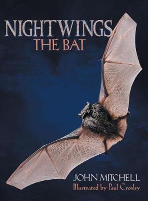 Book cover for Nightwings the Bat