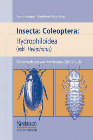 Cover of Susswasserfauna Von Mitteleuropa, Bd. 20/7-10: Insecta: Coleoptera: Hydrophiloidea (Exkl: Helophorus)