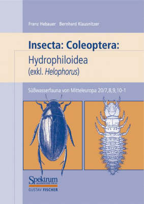 Cover of Susswasserfauna Von Mitteleuropa, Bd. 20/7-10: Insecta: Coleoptera: Hydrophiloidea (Exkl: Helophorus)