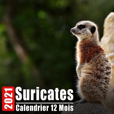 Book cover for Calendrier 2021 Suricates