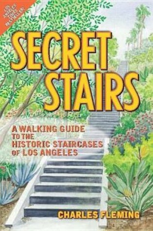 Cover of Secret Stairs