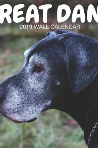 Cover of Great Dane 2019 Wall Calendar