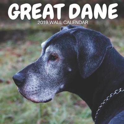 Book cover for Great Dane 2019 Wall Calendar