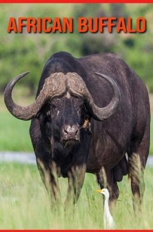 Cover of African Buffalo