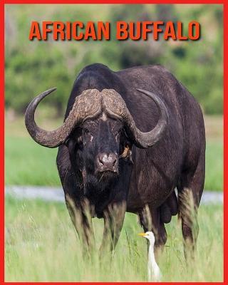 Book cover for African Buffalo