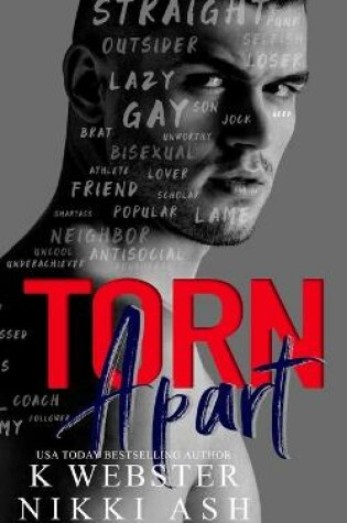 Cover of Torn Apart