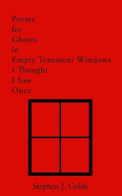 Book cover for Poems for Ghosts in Empty Tenement Windows I Thought I Saw Once