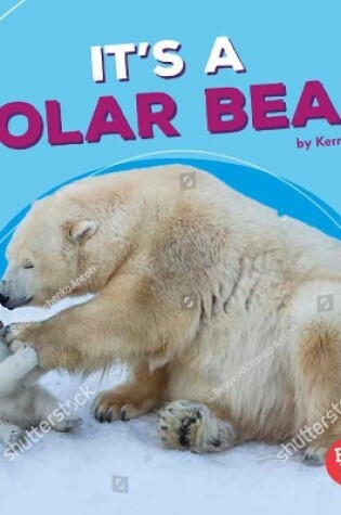 Cover of It's a Polar Bear!