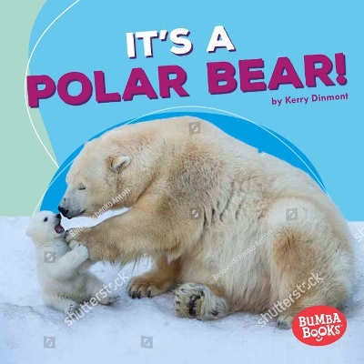 Book cover for It's a Polar Bear!