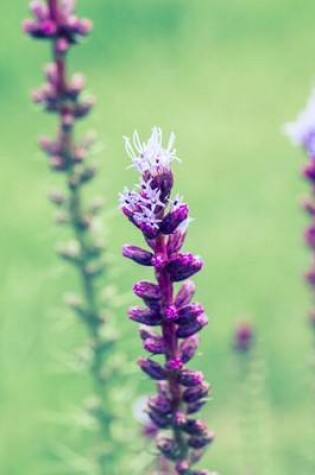 Cover of Liatris Spicata Dense Blazing Star Flowering Plant Journal