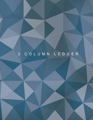 Book cover for 3 Column Ledger