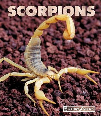 Cover of Scorpions