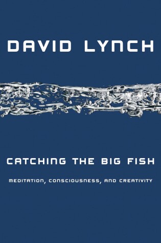 Cover of Catching the Big Fish