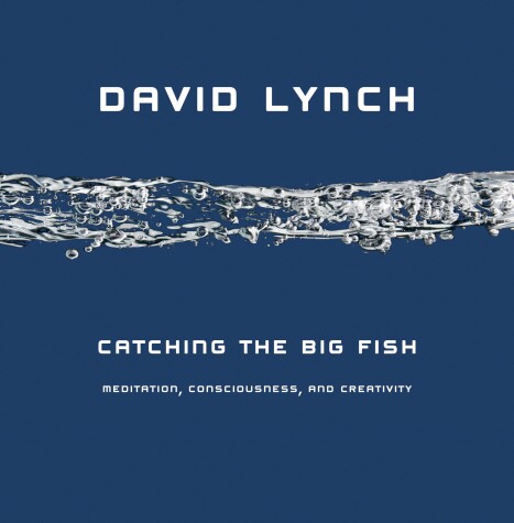 Cover of Catching the Big Fish