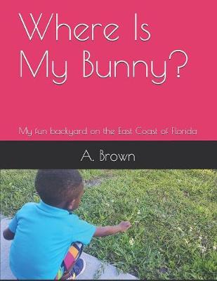 Book cover for Where Is My Bunny?