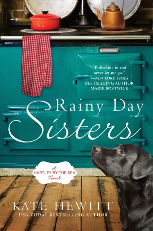 Cover of Rainy Day Sisters