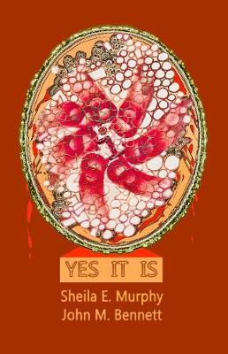 Book cover for Yes It Is