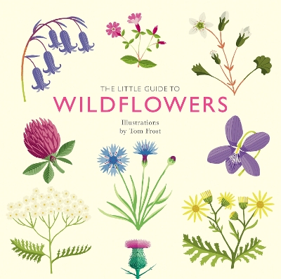 Book cover for The Little Guide to Wildflowers