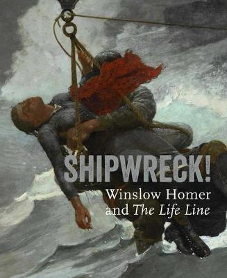 Book cover for Shipwreck! Winslow Homer and "The Life Line"