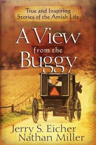 Cover of A View from the Buggy